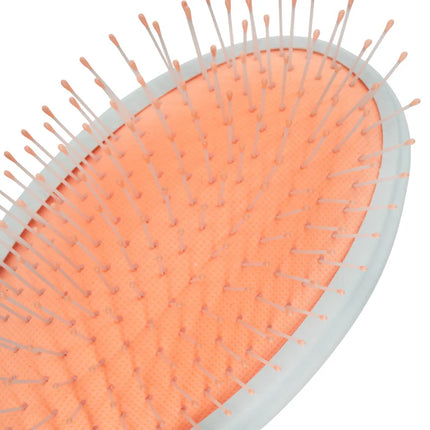 Frizzy Hair Advisory Brush DTN